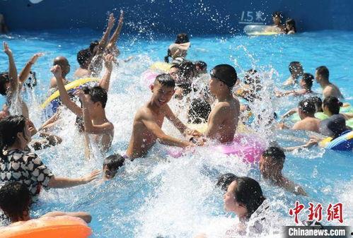 娱乐吃瓜冲浪社,揭秘娱乐圈幕后故事，带你畅游八卦海洋