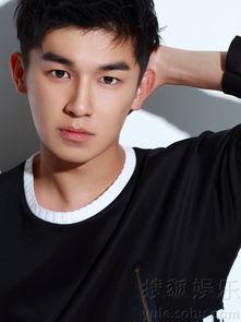 帅的资料,魅力非凡，风采独树一帜